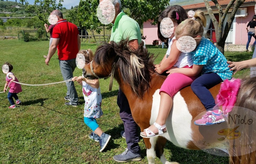 bionido-Giornata-di-incontro-tra-scuola-e-famiglia-1-00008