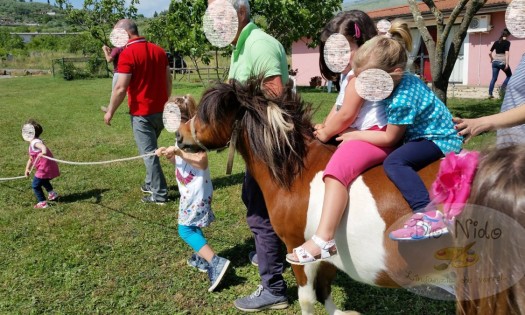 bionido-Giornata-di-incontro-tra-scuola-e-famiglia-1-00008